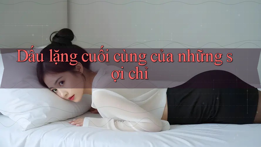 Dấu lặng cuối cùng của những sợi chỉ Dấu lặng cuối cùng của những sợi chỉ