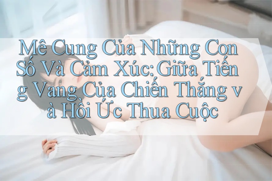 Mê Cung Của Những Con Số Và Cảm Xúc: Giữa Tiếng Vang Của Chiến Thắng và Hồi Ức Thua Cuộc