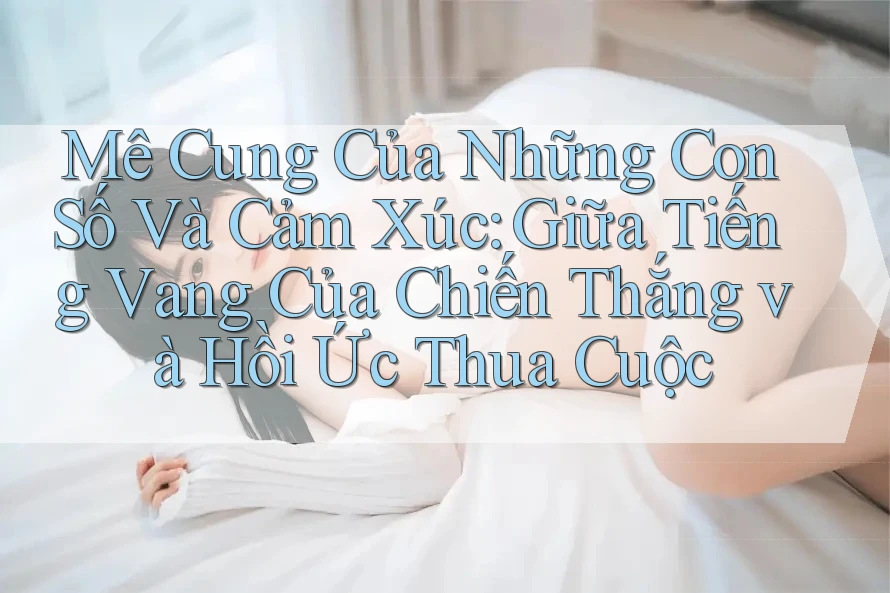 Mê Cung Của Những Con Số Và Cảm Xúc: Giữa Tiếng Vang Của Chiến Thắng và Hồi Ức Thua Cuộc