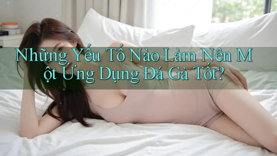 Những Yếu Tố Nào Làm Nên Một Ứng Dụng Đá Gà Tốt?