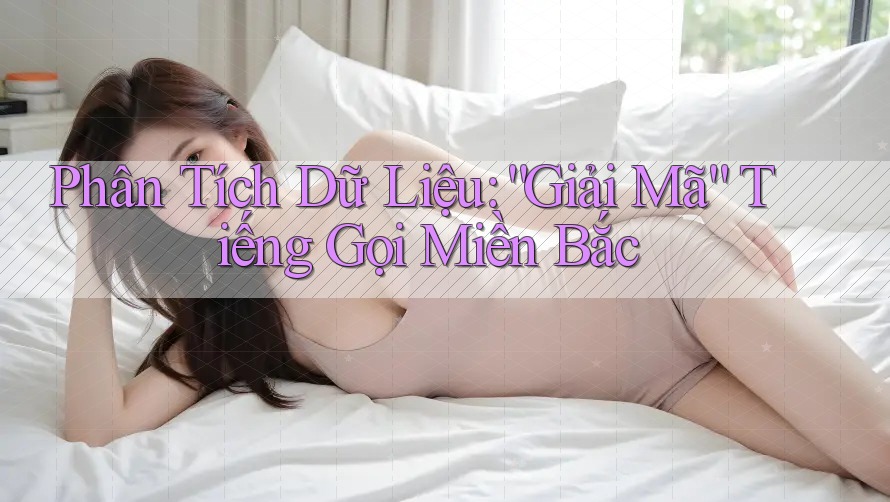 Phân Tích Dữ Liệu: “Giải Mã” Tiếng Gọi Miền Bắc
