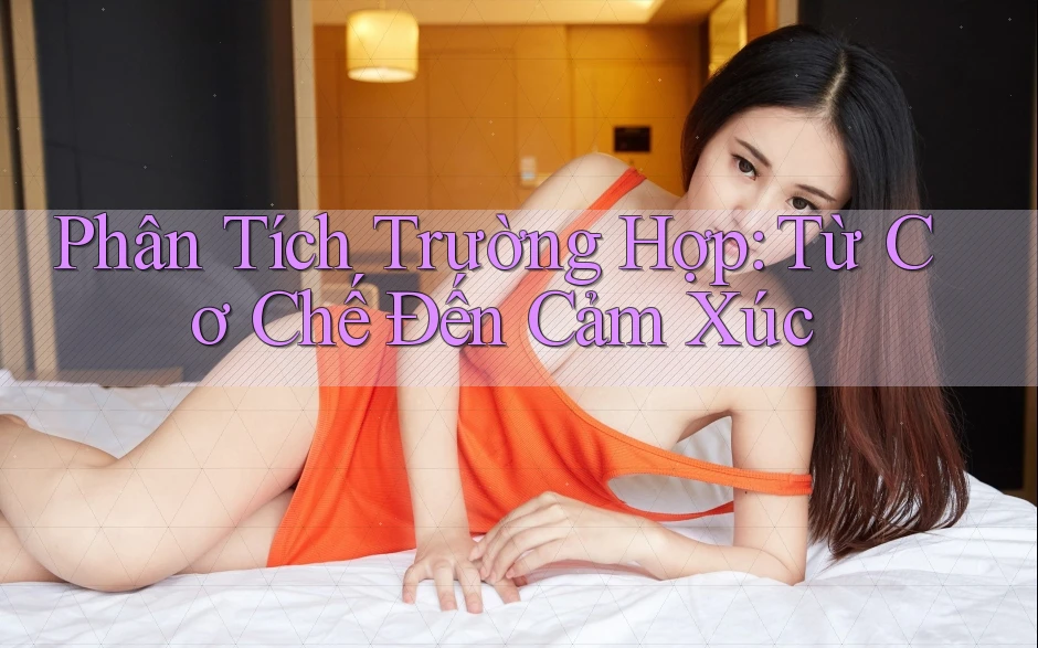 Phân Tích Trường Hợp: Từ Cơ Chế Đến Cảm Xúc