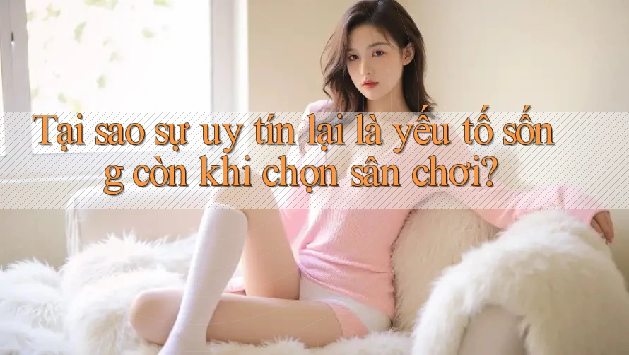 Tại sao sự uy tín lại là yếu tố sống còn khi chọn sân chơi? Tại sao sự uy tín lại là yếu tố sống còn khi chọn sân chơi?