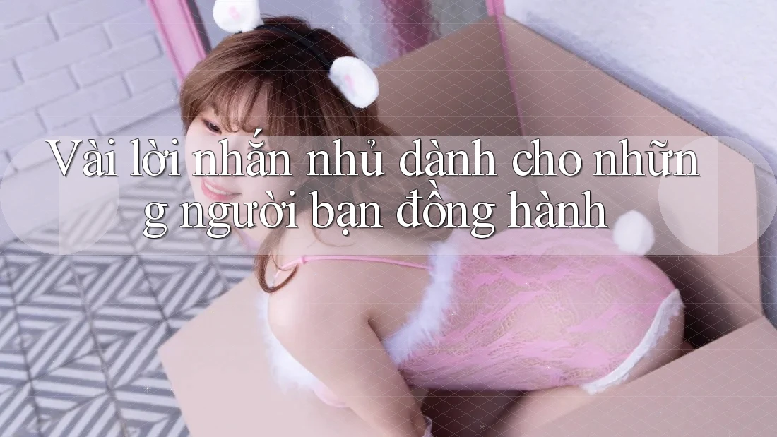 Vài lời nhắn nhủ dành cho những người bạn đồng hành